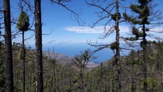 2022-03-GranCan-Mirador_Sargento-Trekking-PM-NN-38.JPG